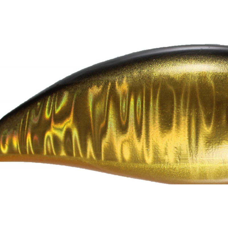 0023_baitsfishing_color_gold_carp_camo_holografic.jpg