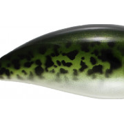 Baitsfishing - Ballon Crank R-Top - Baby Bass