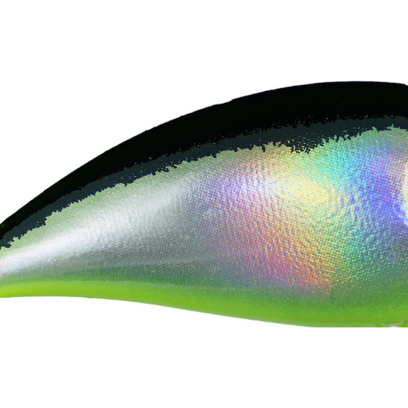 0007_baitsfishing_color_black_chartreuse_holografic.jpg